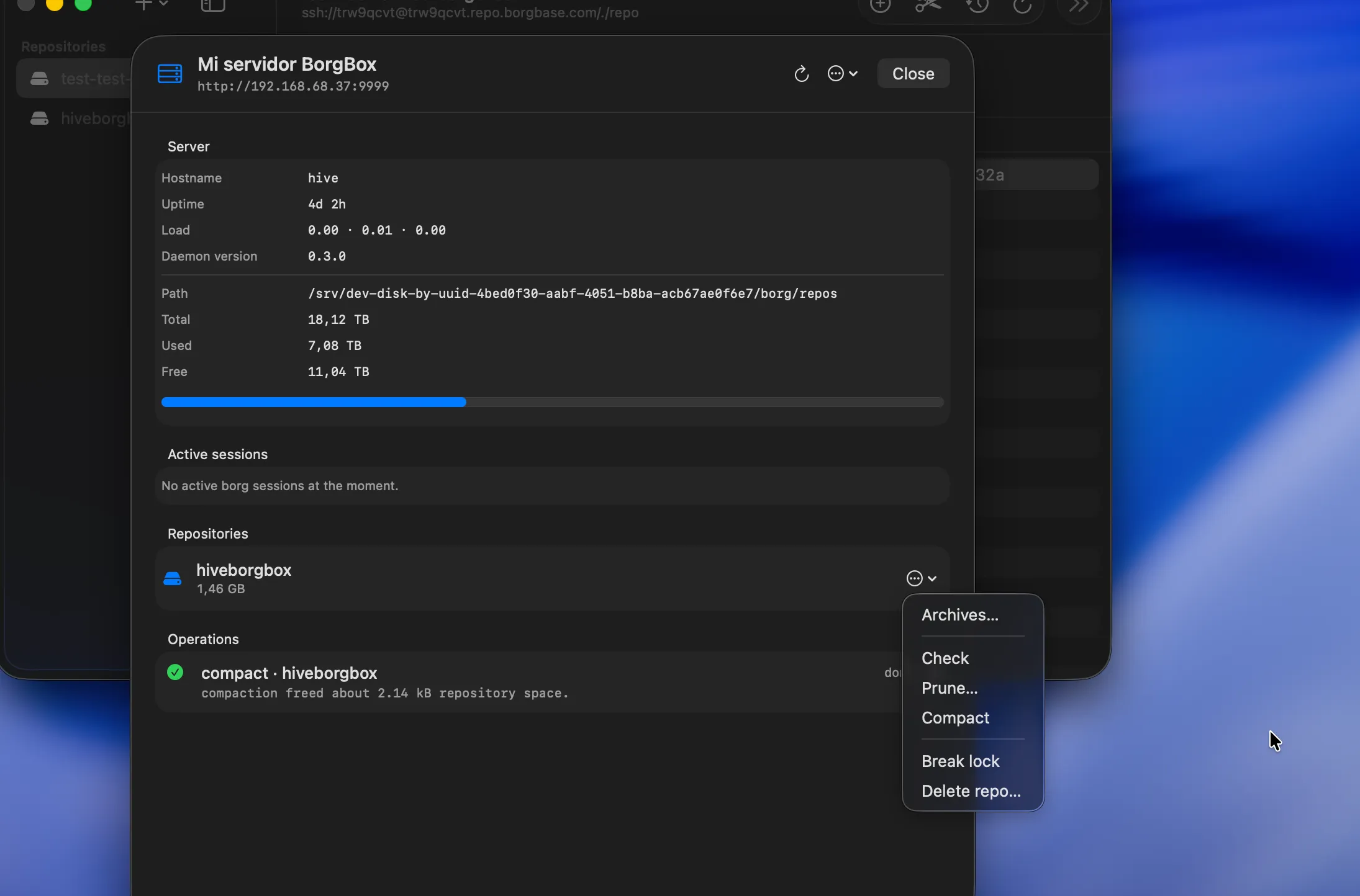 borgmac maintenance panel with check, prune and compact running